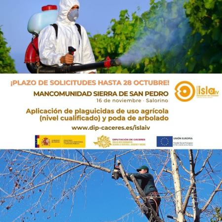 Imagen AMPLIACIÓN PLAZO DE INSCRIPCIÓN_CURSO ISLA IV